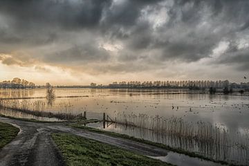 Overstroming Hollandse uiterwaarden van Moetwil en van Dijk - Fotografie