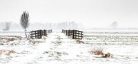 Winter landschap, Nederland van Nynke Altenburg thumbnail