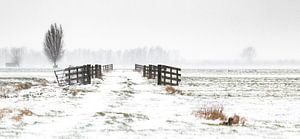 Paysage d'hiver sur Nynke Altenburg