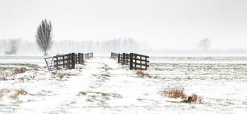 Winter landschap, Nederland van Nynke Altenburg
