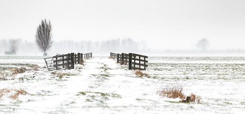 Paysage d'hiver