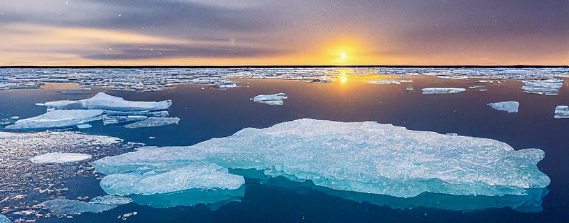 Panorama ice floes in the Arctic illustration by Animaflora PicsStock