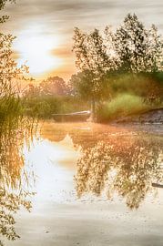 dromen op het water van Sylvain  Poel