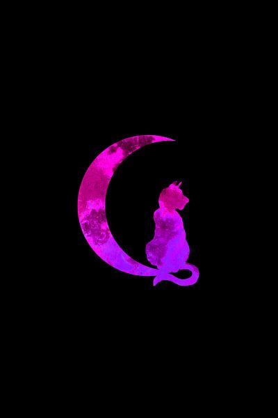 Croissant de lune violet et chat par Sebastian Grafmann