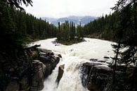 Sunwapta Falls in Canada van Nathan Marcusse thumbnail