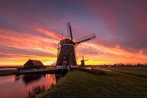 Paysage de polders hollandais avec des moulins à vent sur Original Mostert Photography