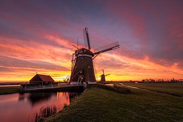 Holländische Polderlandschaft mit Windmühlen von Original Mostert Photography