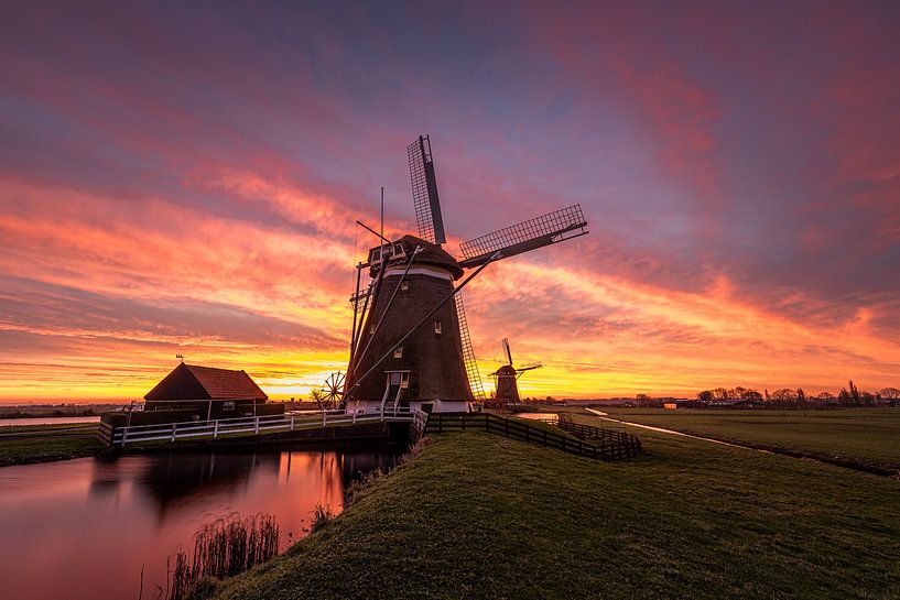 Hollands polderlandschap met molens van Original Mostert Photography