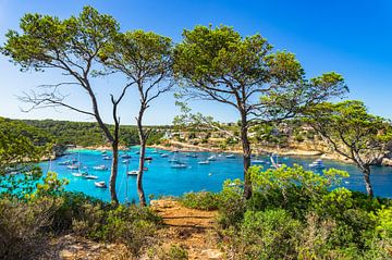Portals Vells, baie avec des yachts et des bateaux au bord de la mer à Majorque, Espagne, îles Baléa sur Alex Winter