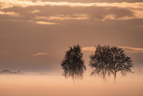 Lever du soleil dans des tons orangés doux