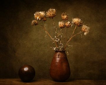 dried artichoke flowers by Saskia van der Linden