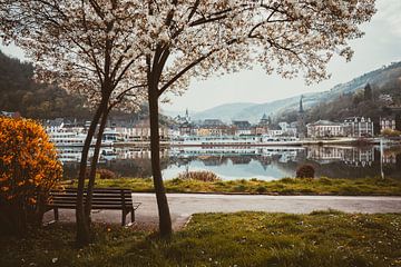 Mosel-Überwachung von Peter Deschepper