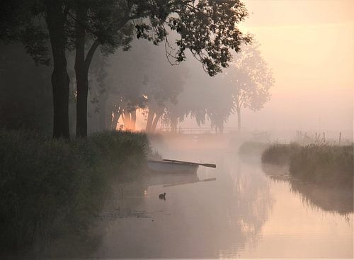 morning has broken