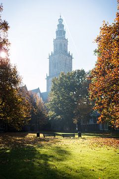Martiniturm Groningen im Herbst von Volt