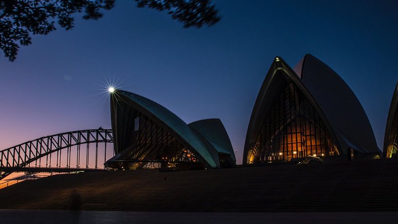 Sydney by Hello Pompoyo