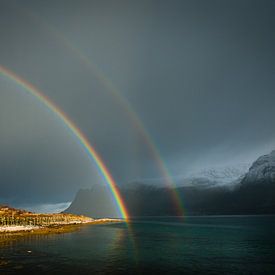 Doppelter Regenbogen von Judith Noorlandt