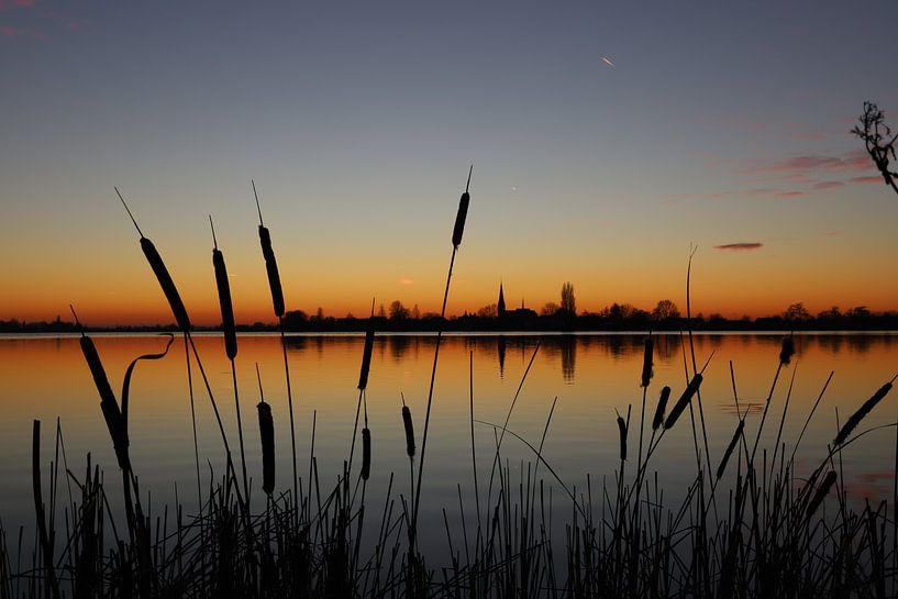 De Nederlandse Polder van GoWildGoNaturepictures