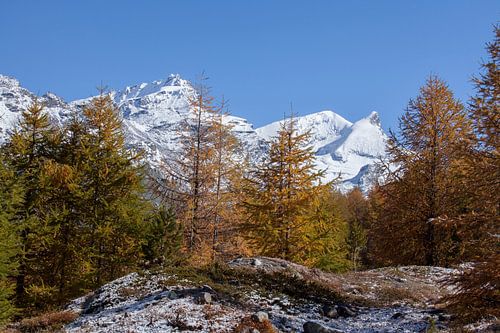 Findelntal mit Rimpfischhorn und Strahlhorn, Zermatt, Schweiz