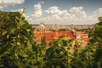 De mooie stad Praag van bovenaf van LF foto's