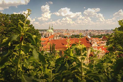 La belle ville de Prague vue d'en haut