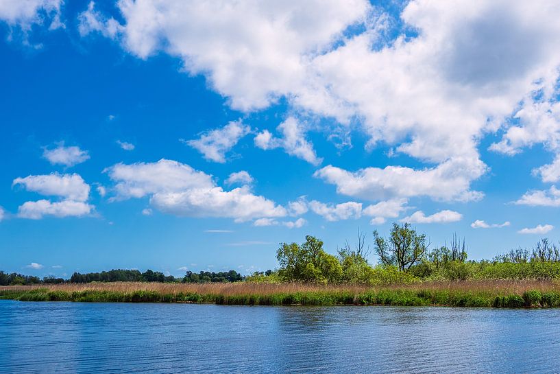 Landschap aan de rivier Warnow in de Hanzestad Rostock van Rico Ködder
