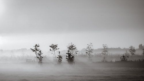 Manque à l'appel sur Ron de Jong