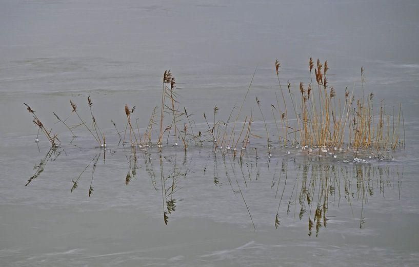 Hoog water van Jose Lok