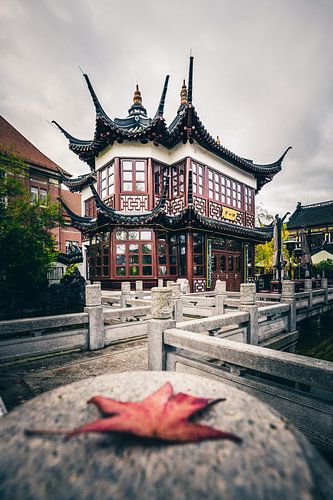 China of Japana Theehuis. Park met brug