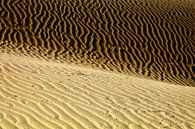Dünen von Playa del Ingles  by Renate Knapp thumbnail