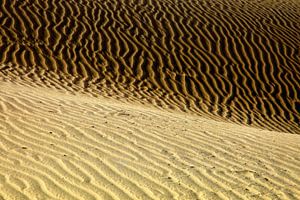 Dünen von Playa del Ingles  van Renate Knapp