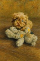 chiot avec peluche