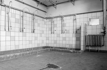 Salle de douche dans une ancienne usine de la RDA sur Animaflora PicsStock