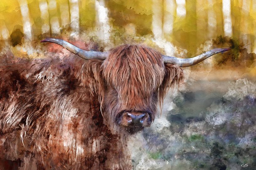 Watercolor Scottish Highlander by gea strucks