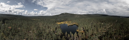 Swedish wilderness – Horizontal drone panorama of the boreal spruce forest in Idre