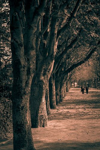 Paris, Jardins des Champs-Élysées