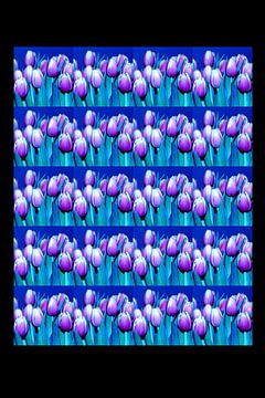 Tulpen/Tulpen #6 von Ronald Puma Photo