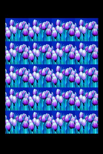 Tulipes/Tulipes #6 sur Ronald Puma Photo