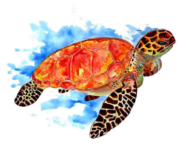 Tortue de mer rouge par Sebastian Grafmann