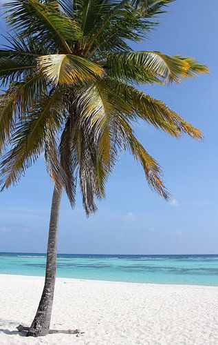 Bountystrand Dominicaanse Republiek