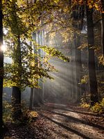 Automne 2021 - 5