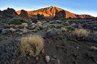 Sunrise at the foot of the Pico del Teide - Beautiful Tenerife by Rolf Schnepp thumbnail