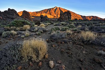 Sonnenaufgang  am Fuße des Pico del Teide - Wunderschönes Teneriffa