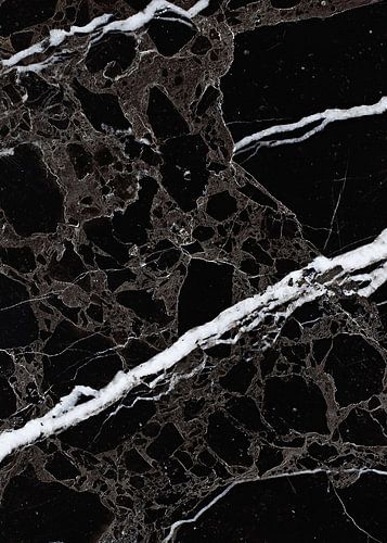 NETWORKED BLACK & WHITE v4