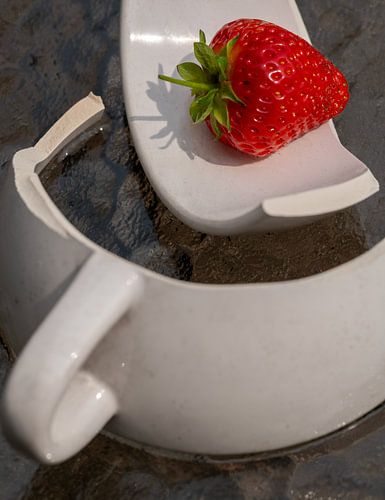 Strawberryfields forever - part 1 van Léontine Lamers