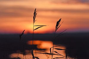 Coucher de soleil