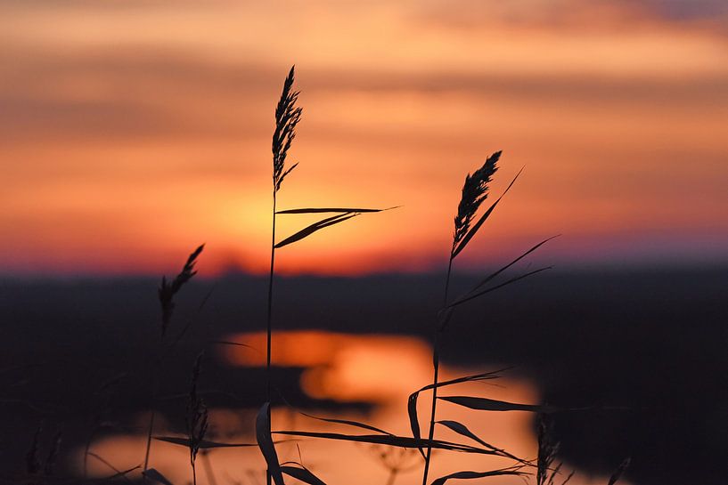 Landschap:  Zonsondergang in Zeeland van Rini Kools