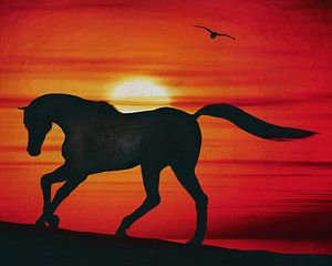 Pferd bei Sonnenuntergang am Strand