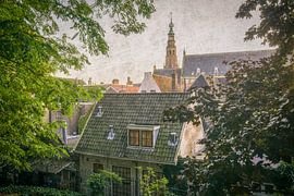 View from De Burcht by Dirk van Egmond