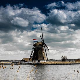 Mühle auf dem Rottemeren mit der Niederländischen Flagge von Ricardo Bouman Fotografie