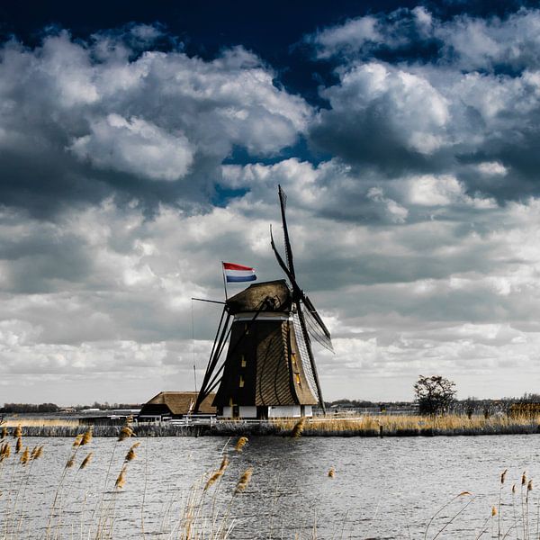 Moulin sur la Rottemeren avec le drapeau néerlandais par Ricardo Bouman Photographie